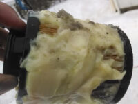 How to Keep Your Diesel Fuel from Icing – Part 1