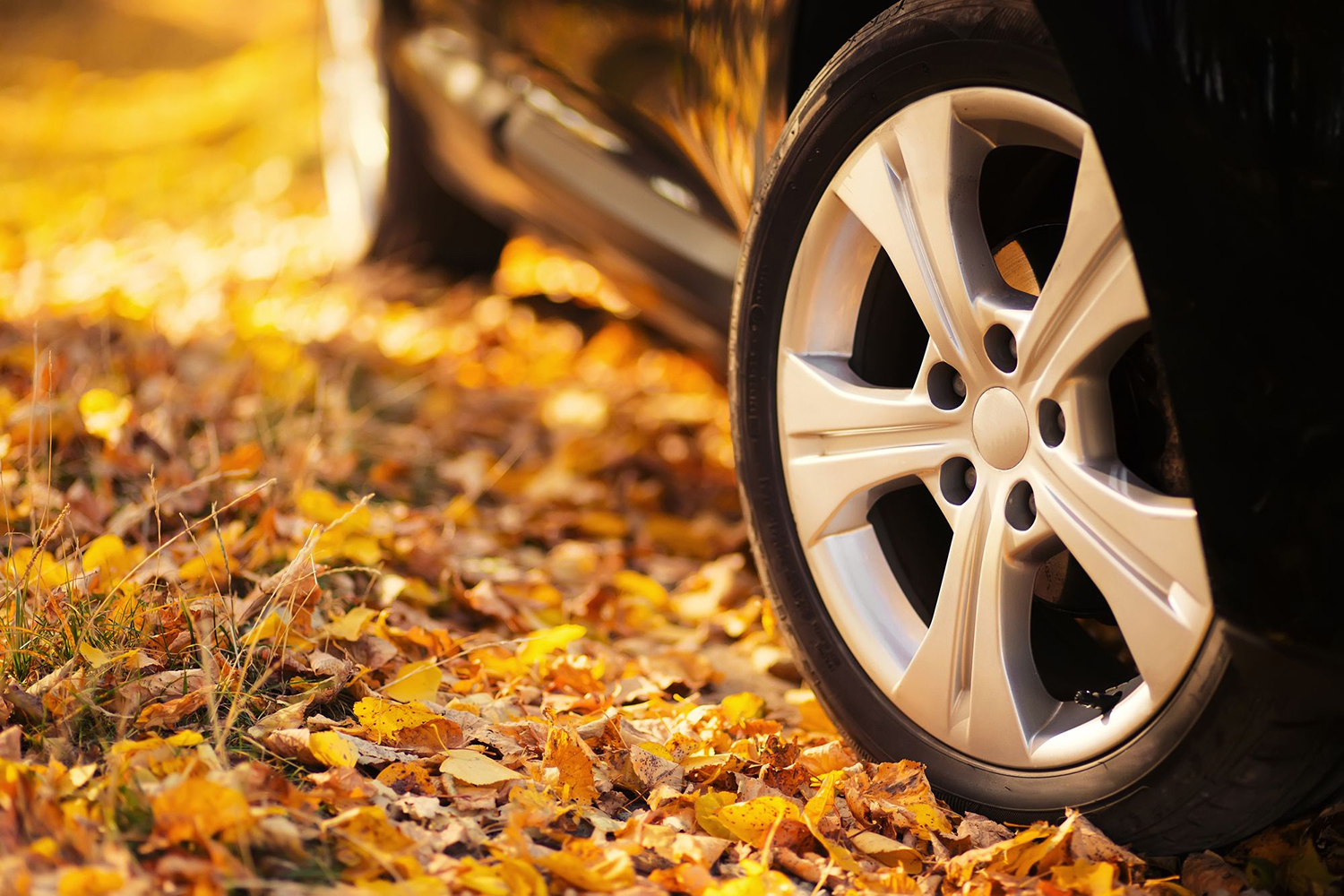 Auto Repair Fall Essential Fall Weather Car Maintenance Tips - Part 2 - All In The Wrist ...